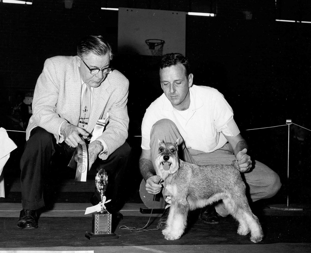 Remembering a Treasure